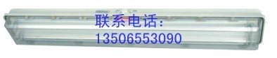 供应BYS防爆防腐全塑荧光灯(ⅡC、DIP)